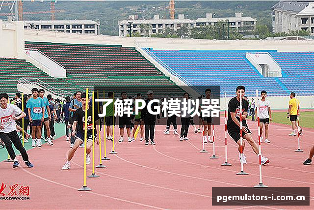 了解PG模拟器